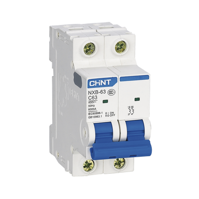 [NXB632PC20] Pastilla para Riel Din, 2 Polos, 20 Amp, Vca:110/415v, 6kA, Catálogo: NXB632PC20, Serie: NXB-63